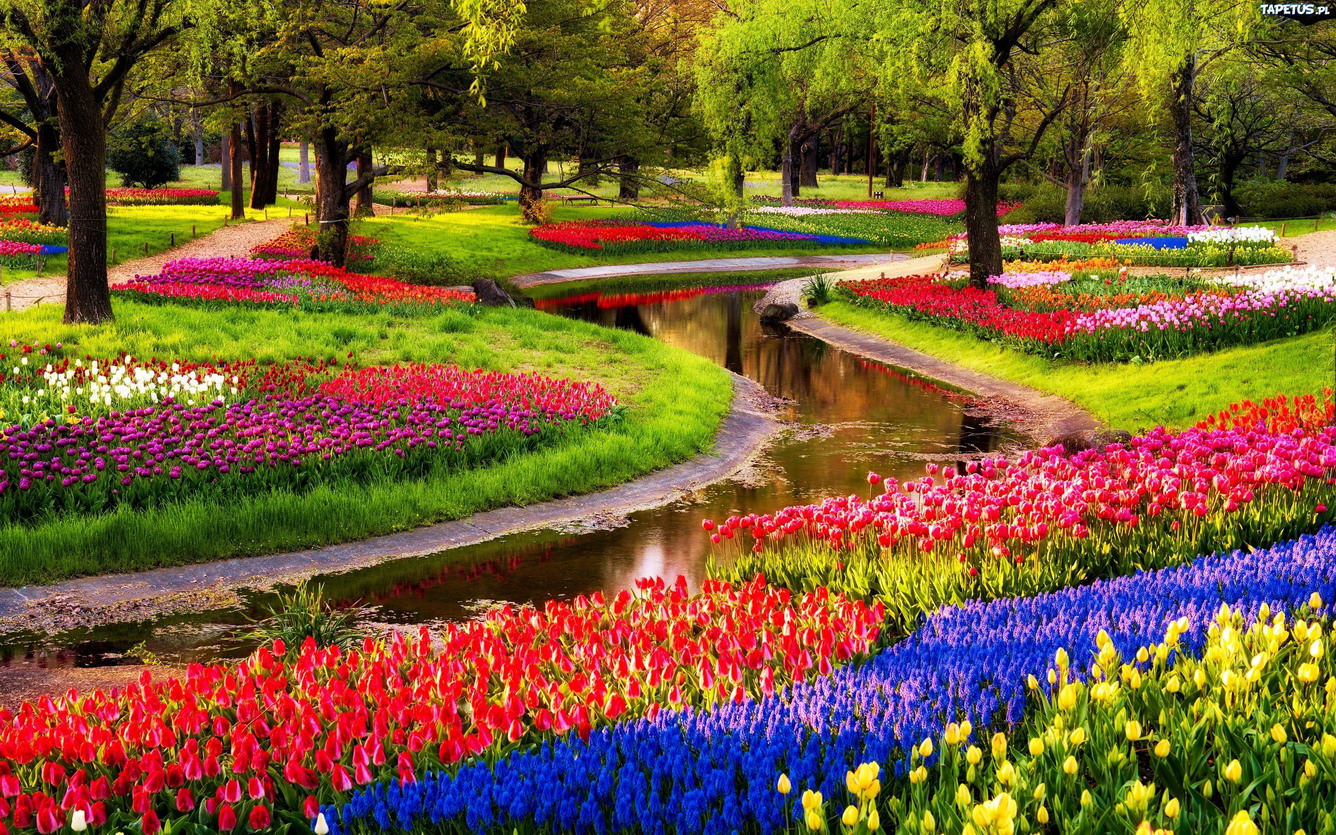 5. Vườn hoa Keukenhof, Hà Lan